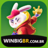 WINBIGBR   LOGO